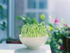 关于命运的励志句子