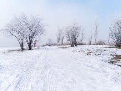 冬天伤感的句子说说心情