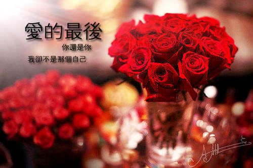 关于无奈爱情的句子