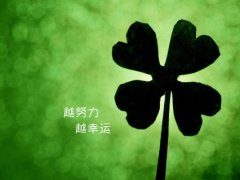 鼓励团队的经典语句 团队正能量经典语录