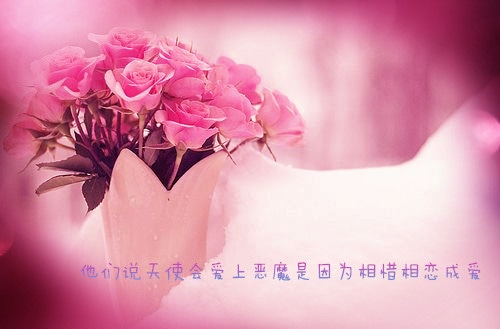 小清新表白的句子