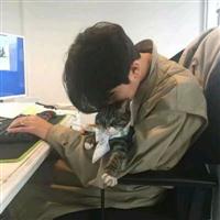 韩范男生个性头像