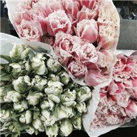 微信花的头像