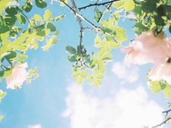 早安鼓励人的经典语句 早安心语正能量一句话