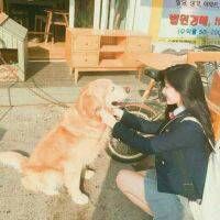 韩国姐妹头像一人一张
