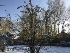 形容初雪的优美句子 描写初雪的心情诗句