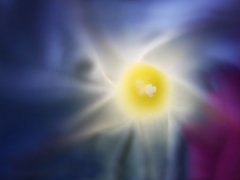 人生旅途感悟句子 人生旅途哲理语句