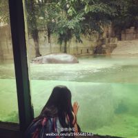 吸引女生的微信头像