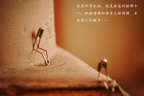 孤独的经典的语句