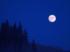夜空唯美句子 关于夜空的唯美句子
