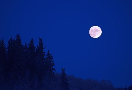 夜空唯美句子