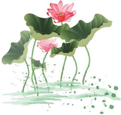 荷花的唯美句子