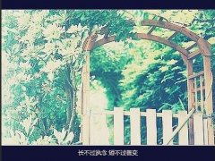 表达心凉的说说 对一个人心凉了的说说