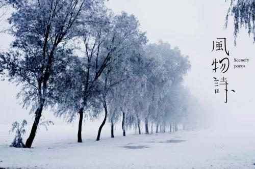 表达下雪的经典的说说