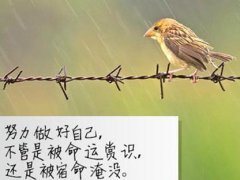 励志散文唯美句子 唯美励志的句子