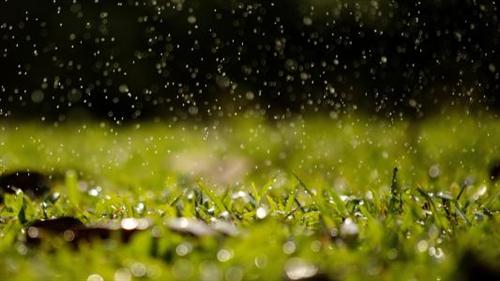 有关雨的唯美句子