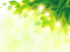 有关阳光的唯美句子 一米阳光的唯美句子