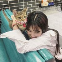 穿衬衫的女生头像