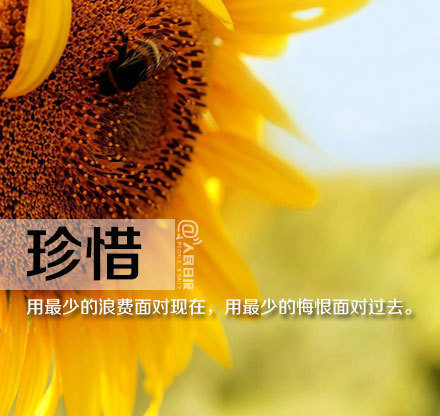 为梦想奋斗的励志句子