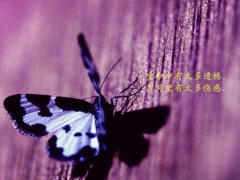 爱情破碎伤心的说说 关于伤心爱情的说说