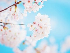牵挂的唯美句子 关于牵挂的唯美句子