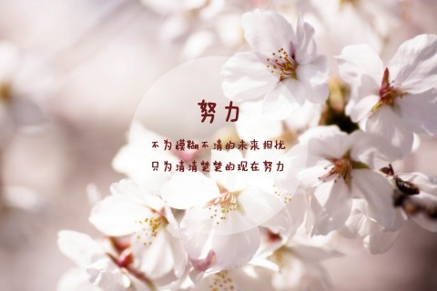 挫折中成长励志的句子