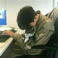 适合男人做微信头像的图片
