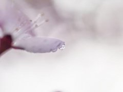 描写希望的句子 关于希望的唯美句子