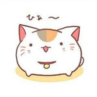 猫猫头像可爱