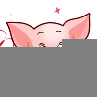 可爱小猪的头像