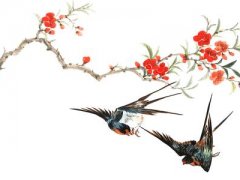 赞美梅花的说说
