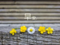 适合发朋友圈的早安语句