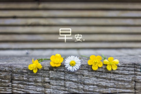 适合发朋友圈的早安语句