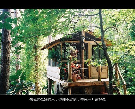 带清字的微信网名好听