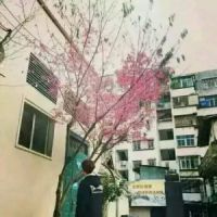 风景情侣头像一男一女