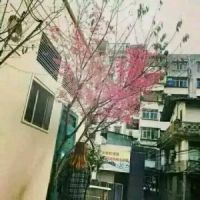 风景情侣头像一男一女