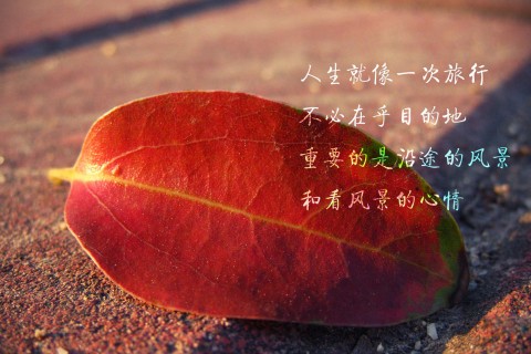 很现实的人生感悟说说,读完感触极深!