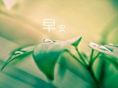适合发朋友圈的早安句子，快收藏！