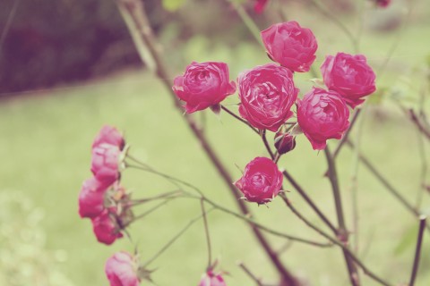 值得一读的好句子,句句入骨!