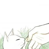 可爱的卡通猫咪头像