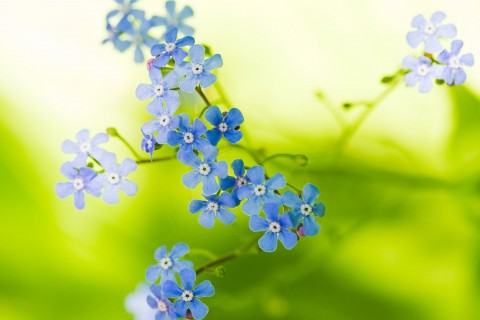 心向阳光正能量的句子,总有一句适合你!