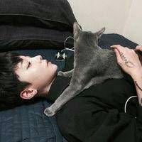 高冷又帅气的男生头像