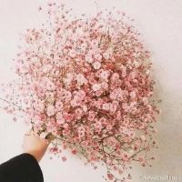 适合中年妈妈的微信头像