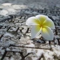夏季清爽风景微信头像