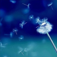 适合老年人的微信头像