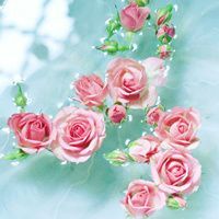 花草风景插画微信头像