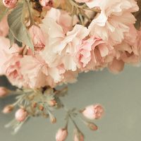 花草风景插画微信头像