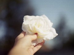 计划赶不上变化的说说