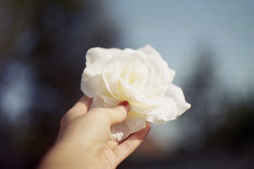 计划赶不上变化的说说