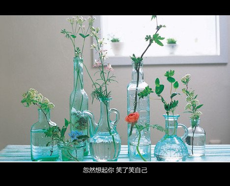 最值得看的治愈系文字,句句窝心!